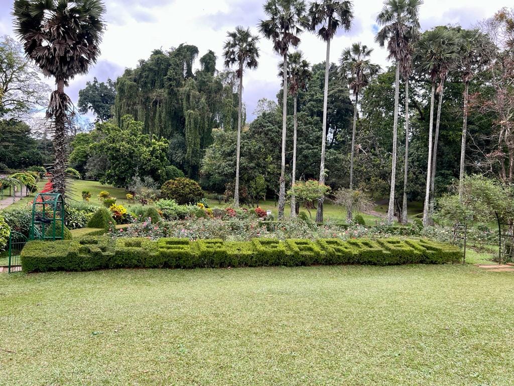 royal-botanical-garden-peradeniya