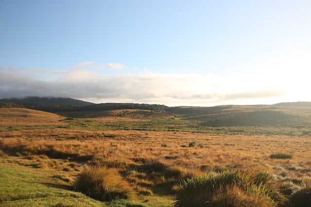 horton-plains